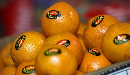 What are some different types of oranges?