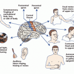 Types of Seizures