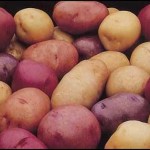 Types of Potatoes